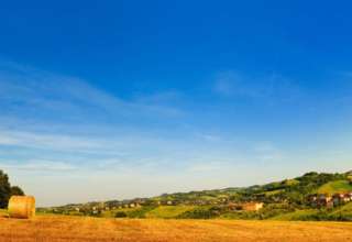 economia agroalimentare