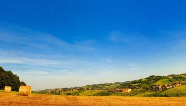 economia agroalimentare