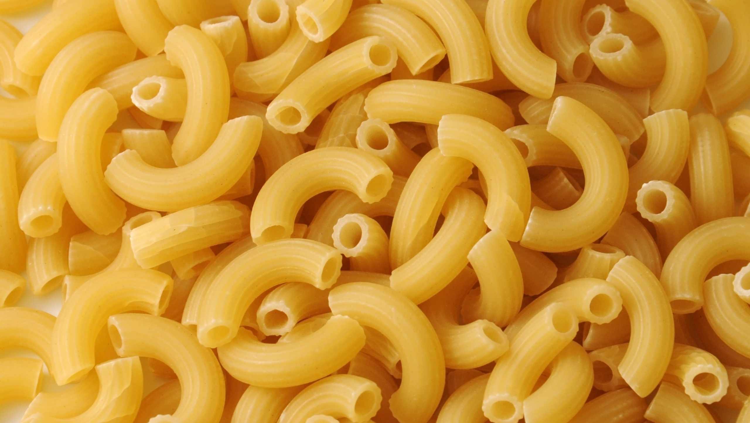 pasta secca